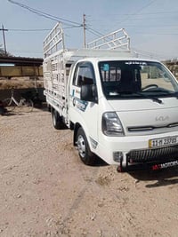 بونغو • ٢٠٢٣ • رقم بغداد