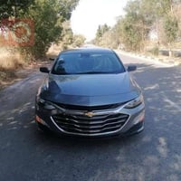 ماليبو لون مميز💙 صدر الحمام دخول جديد 2023  وضرر كلش بسيط خشم الجاملغ ...