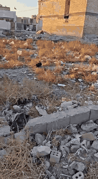 قطعه ارض بمساحه مميزه كما موضح بالمنشور المراسله بالرقم داخل المنشور او مراسله الرقم ***********. واتساب فقط او خاص
