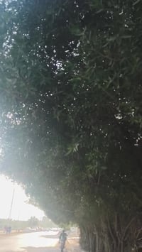 سيبي فور ٤٠٠ • مكفولة • النجف الاشرف شارع المطار