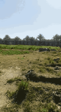 بابل • ٤٩٠٠م • شارع ١٠٠