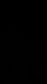 دراجة • نمرة ٣ حروف • كربلاء طوريج