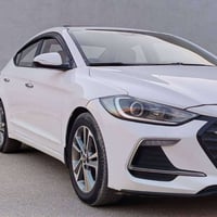 النترا • ٢٠١٩ • رقم أربيل