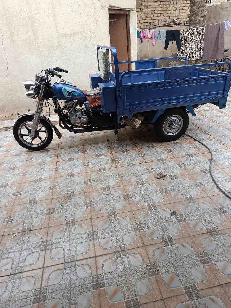 ستوته جمرة ٢٣للبيع او مراوس دايون ٢٢
مكاني شطرة 
رقم***********
