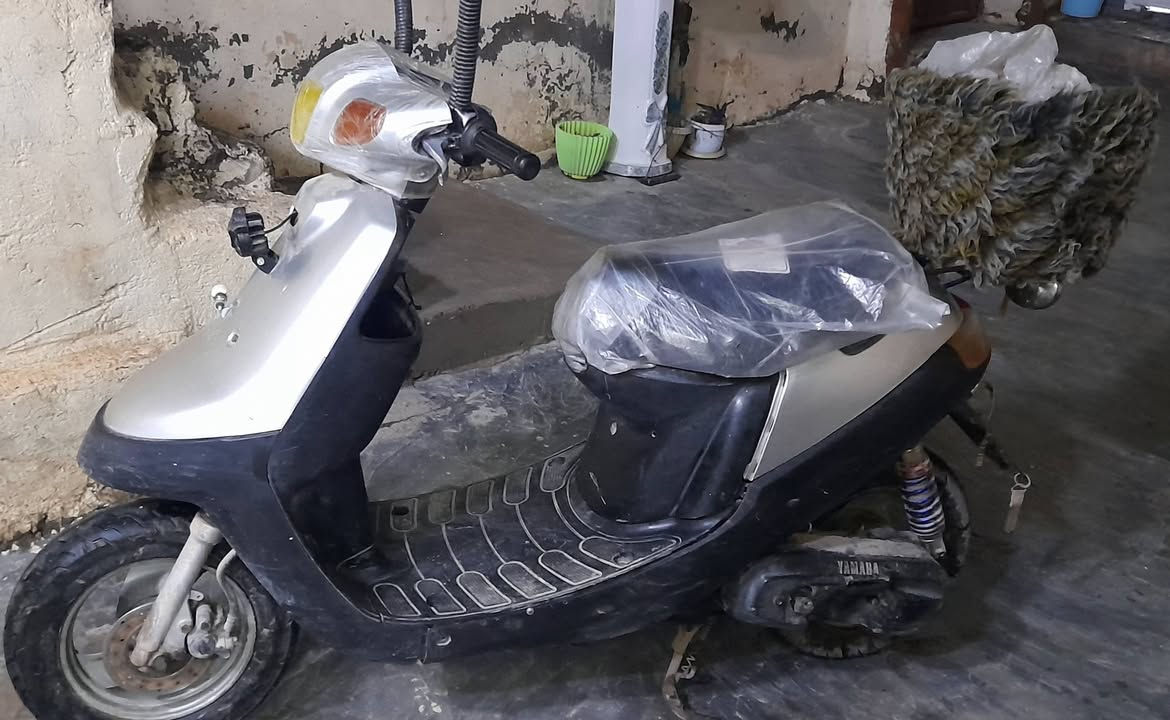 السلام عليكم  مطور بوتين للبيع ادفع سعر ابيعك / ***********
