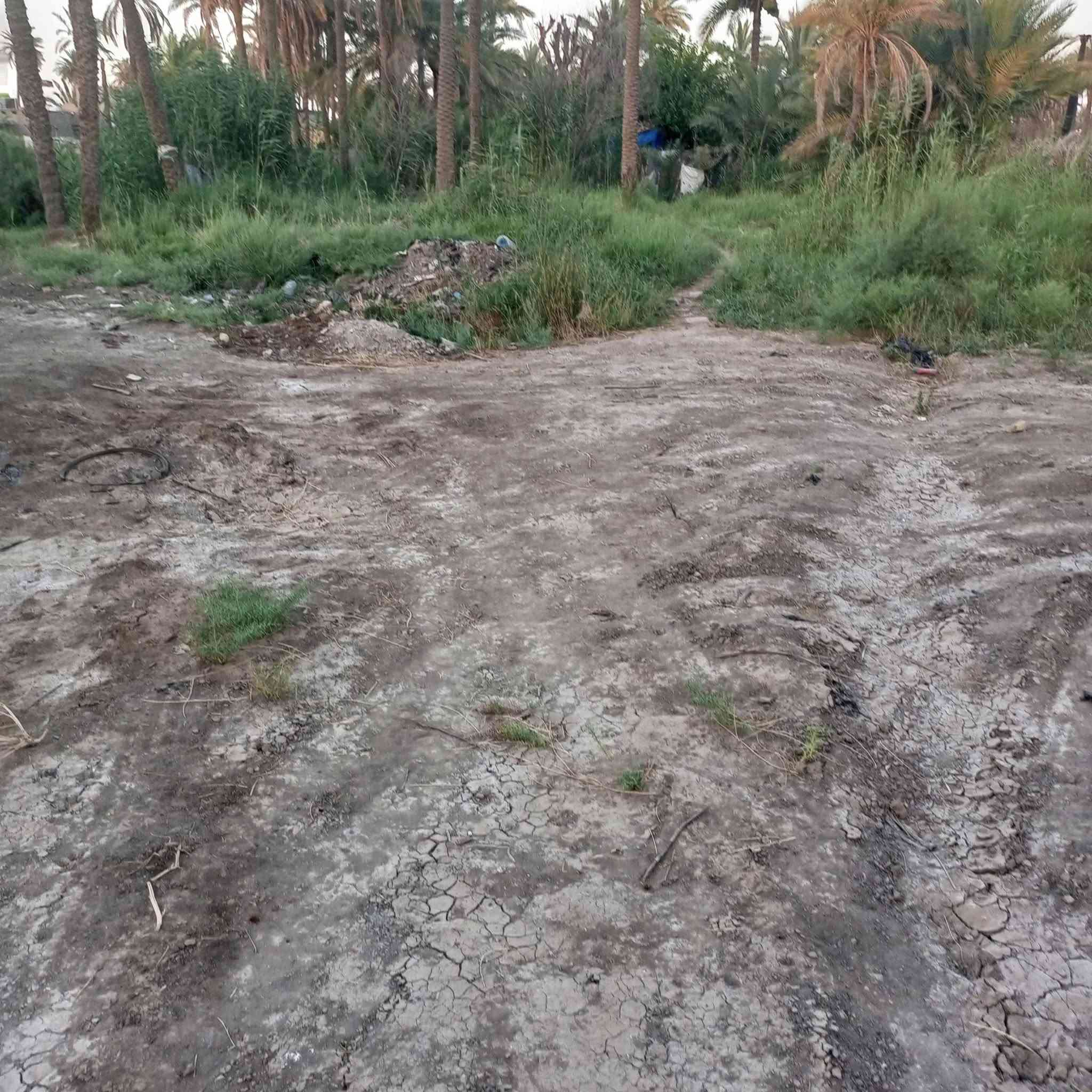عرصات عدد2 مساحة الواحدة 230m في منطقة الثمن خلف حسينية الثمن السعر واتساب ***********
