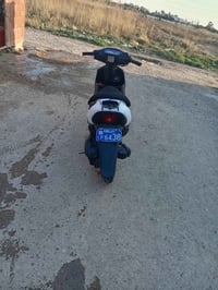 سوسوكس • شغال • مراوس