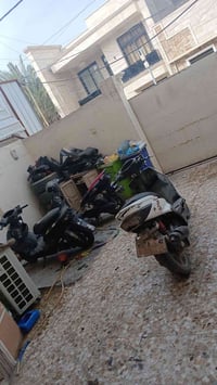 توفرت عندي سكنس فحل تفصيخ شتحتاج موجود ضفيره. و عقل و بقيت الغراض كفرا...