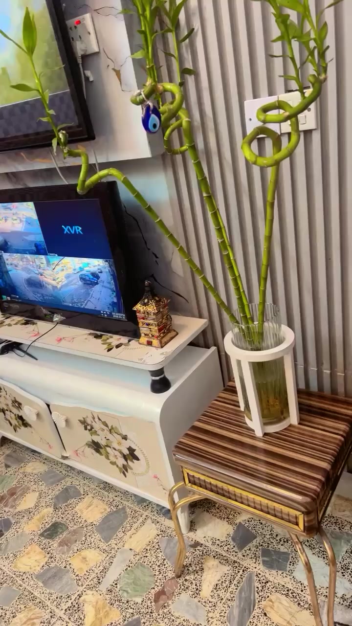 تخم تركي١٠مقاعد  نضيف جدا


**إذا كنت صاحب هذا الإعلان وتريد حذفه لأي سبب، رجاءا أرسل رسالة إلى الدعم الفني**