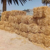 كبسات تبن • ٢٨ كبسة