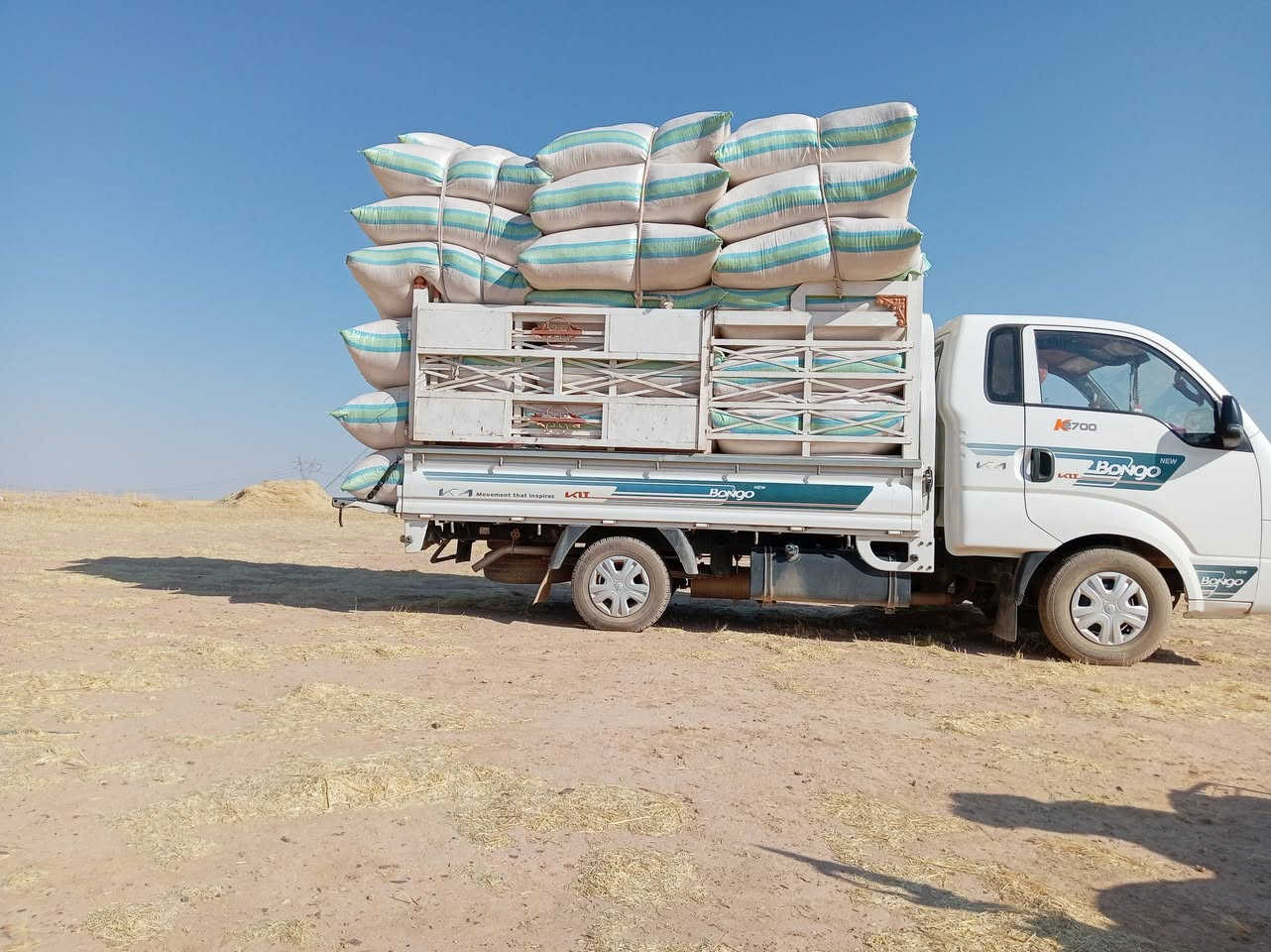 يوجد تبن للبيع نضافه شرط كوام دراسه سعر 3الف مكانه مطروح طول شليف 130والعرض 90 رقم *********** المكان سكران
