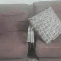 تخم تركي • اربيل • بيع مستعجل