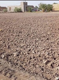 الديوانيه طريق السنيه • ٣٠٠٠م • طابو زراعي