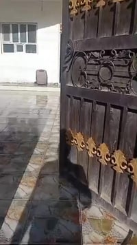 قرب القصر الابيض • ٢٥٠م • حديقه