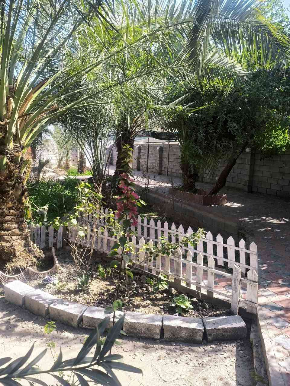 بيت للبيع 950m
 مساحة البناء 300 (قاسميهن بيتين كل بيت باب وحد ) 
وبيه محل ببداية البيت مأجر ينه 
بناء بلوك كهربائي حديث وبيه ٥ غرف وصالة وصحيات داخليه وخارجية ومطبخ واستقبال 
يبعد عن الشارع العام ١٠٠ م  والتبليط واصل للباب البيت 
,زراعي سند 25 بيه وصل تطويب 
انواع الفسائل بيه مزرعة كلش مرتبة وتعبابنين بيه مايقارب 20 نخلة وكلة حمال 
والفواكه بانواعه
الموقع سوق الشيوخ ( حي الجوادين ) 
نزلة الكهوة 
للتواصل 
***********
***********
