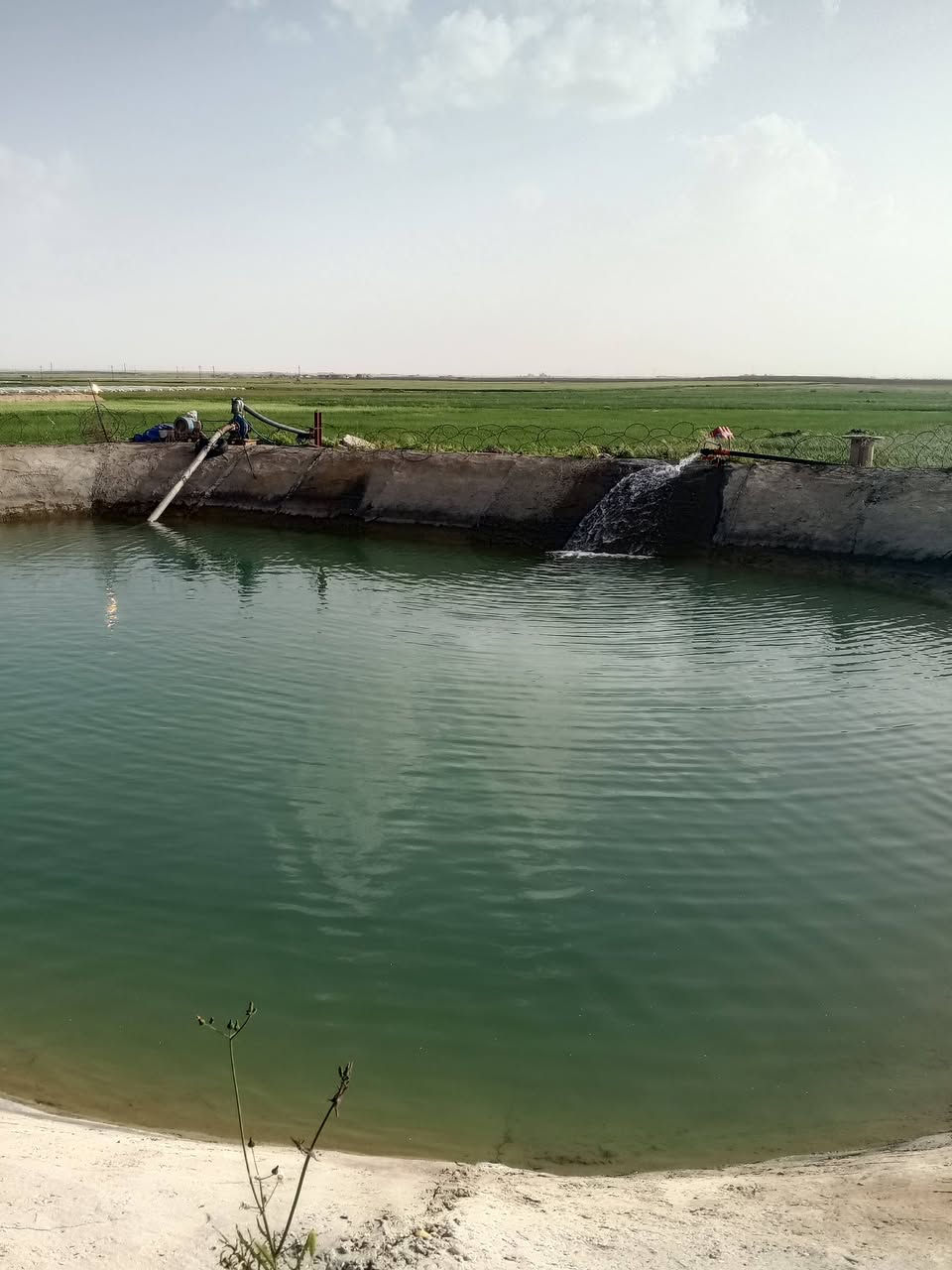 أرض زراعيه للبيع ،صلاح الدين تكريت ،غرب سريع تكريت
المساحه ٤٠ دونم ،تتكون من مرشه ثابتة وبئر أرتوازي ،وحقل سمك ٢دونم 
ومحوله وضاقطه ٦ب٥ ضقط ممتاز جداً.

الأستفسار وتفاصيل أكثر ***********.
