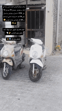 العنوان الكوت زين القواس شارع ابو فضل ***********/***********
