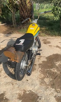 موديل ٢٠٢٥ • كله أوراق • حله