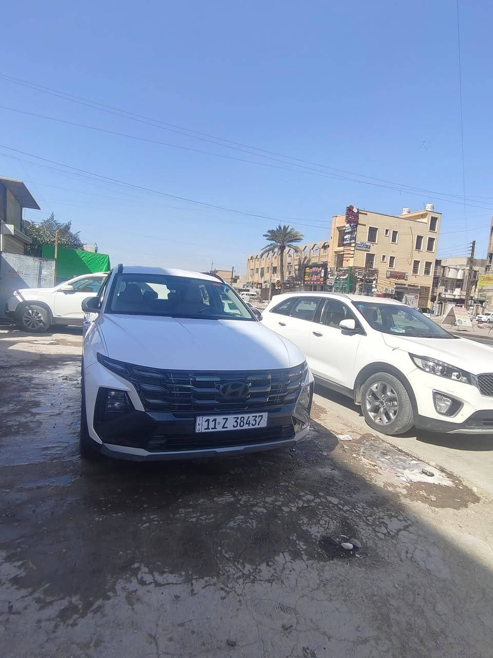 توسان خليجي ٢٠٢٥
*********** 

مكانها بغداد 

ماشيه ٣٦ الف قابل للزيادة 

ب ٢٢٨ 

رقم بغداد
