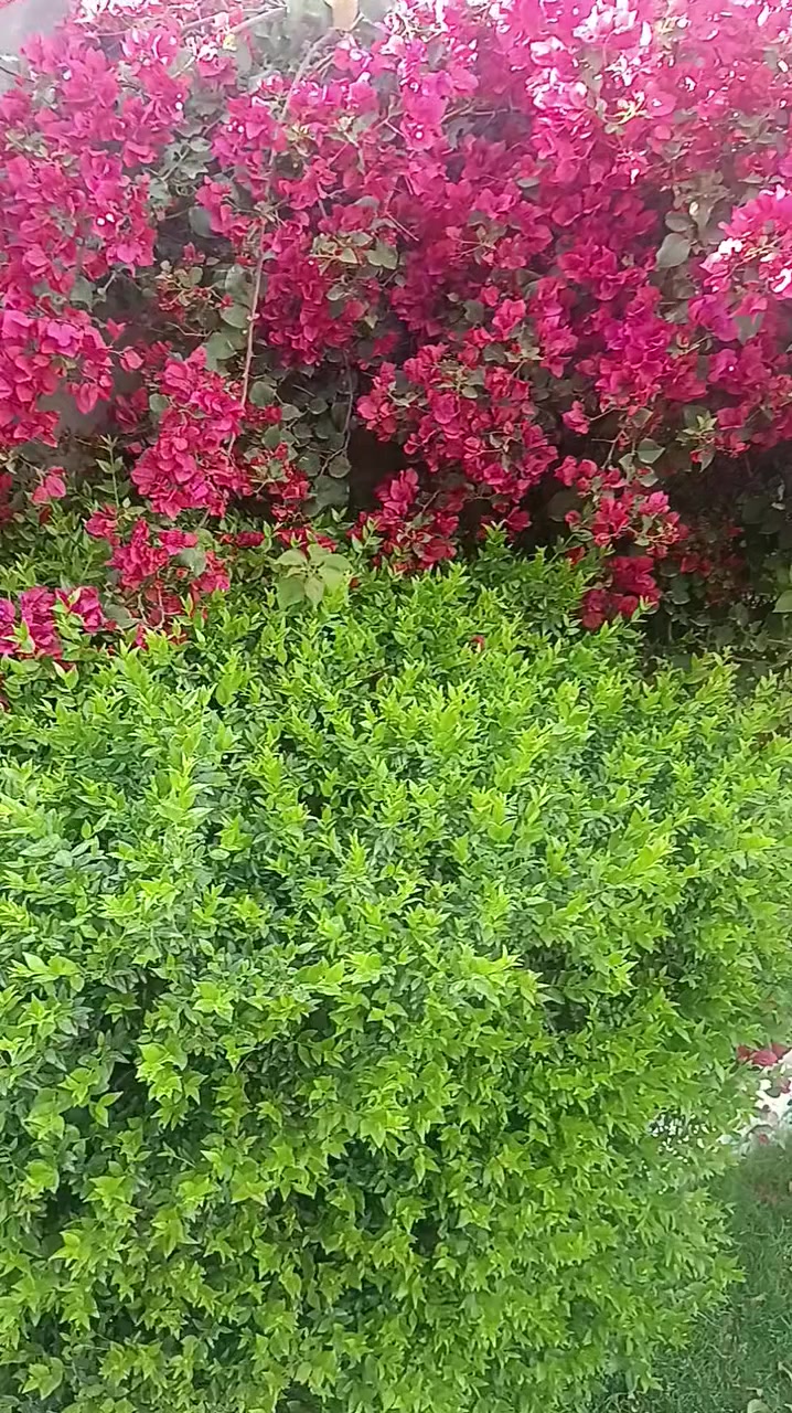 🔹 دار للبيع – موقع مميز 🔹
▪️ السند: زراعي سند 25
▪️ مشمول بالتطويب 

▪️ المساحة الكلية: 200 م
▪️ البناء: 100 م
▪️ حديقة: 100 م+ أساس نظيف خارجي
▪️ ركن على شارعين
▪️ تبليط وخدمات كاملة
📐 الواجهة: 20 م
📏 النزال: 10 م
🚧 عرض الشارع أمام الدار: 8 م
🚧 عرض شارع الركن: 10 م
📍 يبعد عن الشارع العام: 80 م فقط
🏠 تفاصيل البناء:
🔸 الطابق الأرضي:
غرفة 3.5 × 5
صالة 4 × 6
مطبخ
تخاريج
🔸 الطابق الثاني:
غرفتان
الأولى: هيكل
الثانية: 4 × 6
📍 العنوان:
نادر الثالثة – التاجية الزراعي – شارع أبو حمد
⚡ الخدمات:
ماء، كهرباء، مولدة ذهبية، تبليط للباب (خدمات كاملة )
📞 للاستفسار: الاتصال على ***********
