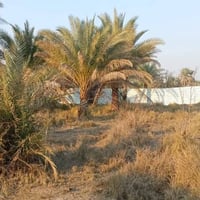 🌟 #دوانم_راقية_الك_ولعائلتك #5نجوم🌟 ط🔍 تبحث عن الهدوء والابتعاد عن زحم...