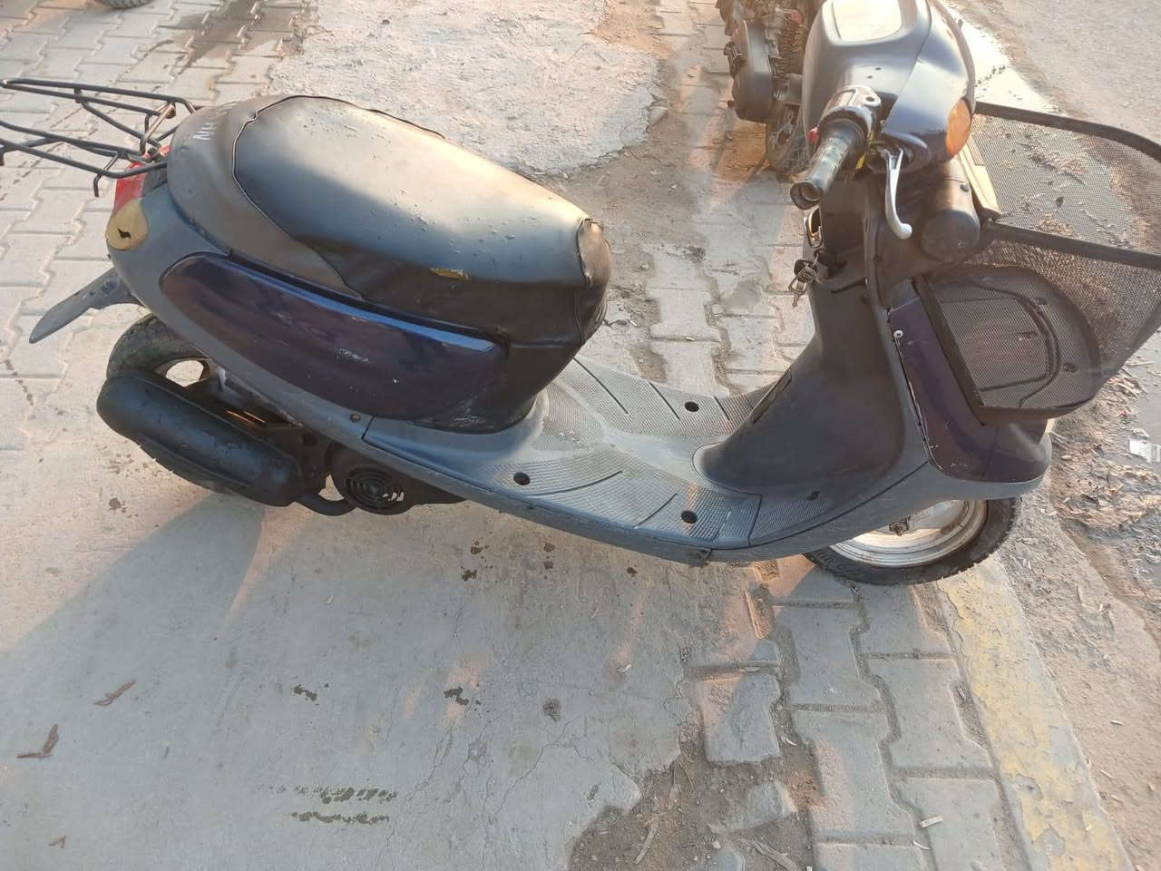 منغولي للبيع ب٢٠٠ وبيهه مجال الشراي يتصل *********** مكاني يم نفق الجاير
