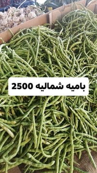 خضار طازج • توصيل سريع • لوبيا شمالية