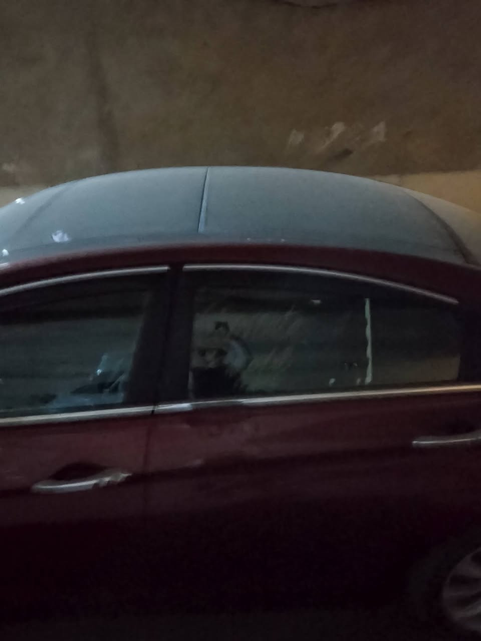 السلام عليكم سوناتة موديل 11 فول مواصفات خليجي وارد سعودي 
اربيل انكليزي  السيارة فول الفول  بيهة جاملغين صبغ اماميات وبيهة قبقب الجنطة من فوك مصبوغ اثر شخوط  بدون اي ضربة 
اريد اراوسهة بستافي واطي فرق سعر النقد 115.      رقم الهاتف ،***********
