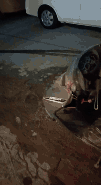 متواجد واتساب
***********
