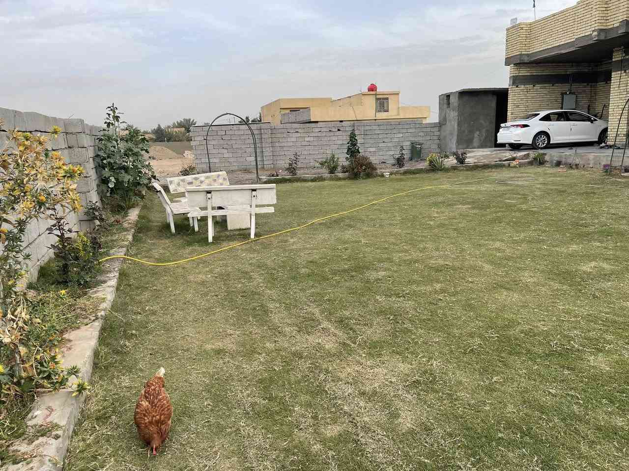 السلام عليكم 
للبيع بيت مساحه 400 متر مع الارض 1600 متر طاير زرعي سند 25 بناء حديث طابوق سنه 2025 يحتوي البيت على 3 غرف نوم و مطبخ حار و بارد و صحن درج كبير و استقبال كبيره و اضافه إلى حديقه مساحته 200 متر  
للاستفسار ***********
