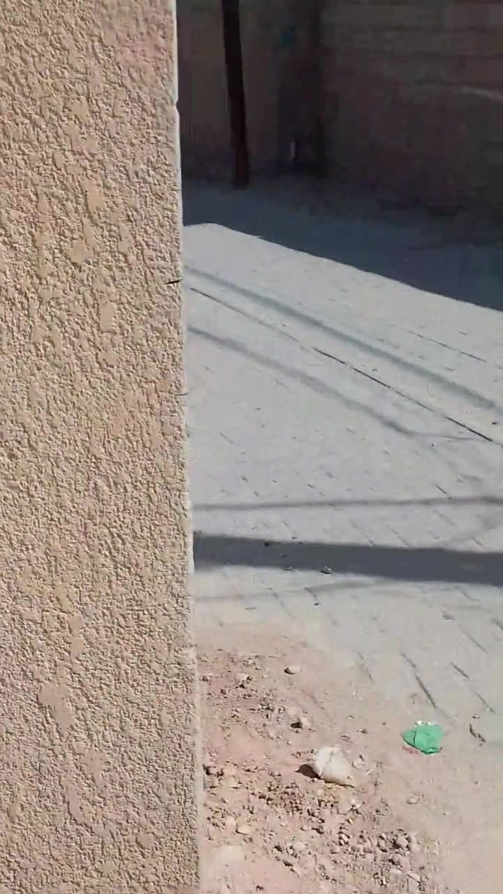 ـۜسـۨۚ(✋)ــِۖلُأمٌ ؏ـليۜـ(💜)ـكـۜم وݛحـٍّْـٍّْ⁽😘₎ـٍّْمهہ الًـًٍۖـٍـٍۖ(☝)ٍۖـًٍٍٍّـًٍلۖهًٍۖۂ وبـۗـۗـۗـۗـۗـۗركۧۧــۧۧۧۧۧـۗـۗ(ۗ😇)ـۗـۗاتهۂ  العنوان كربلاء منطقه الامام عون 
اخوان دار للبيع المساحه 500متر تحتت البناء 148متر طابو زراعي اقرار محكمه الدار يوجد فيه 
استقبال 4×7متر 
صاله 9متر 
تلاث غرف نوم،4×5
مطبخ بارد 4×4
مطبخ حار 3×4
صحيات داخليه وخارجه الداره بناء عكاده 
للتصال ***********
**190مليون وقابل للتفاوض
