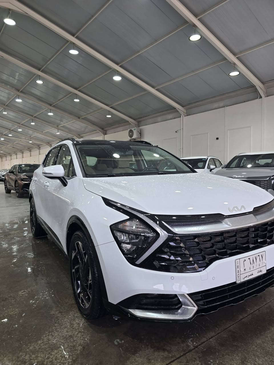 كيا سبورتج 2023 خليجية ضمان الدولية   رقم بغداد
السعر/ ٢٢٨ ورقة
مكفولة من الحادث والصبغ
فول مواصفات بانوراما
رقم بغداد 
ماشية ٦٢ الف كيلو

🥇معرض النبأ المميز
معارض جكوك 

        زورونا واهلا وسهلا 

___________________        
للاستفساراكثر اتصل على الرقم
☎️☎️☎️☎️
***********
📍الموقع بغداد / جكوك
(معرض النبأ المميز)

#للبيع فقط بدون مراوس 
#السعر  228 ورقة 
 للاستفسار الاتصال 
‏‭***********‬
