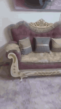 تخم الرئاسي 350قفل والجوزي 200 للبيع مكلفه بي لاتصال  ويا راعيه 078179...