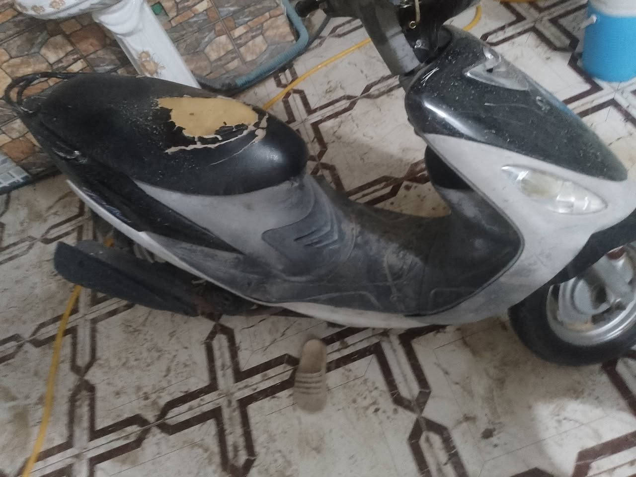 ماكس منغولي مكينه بلاد وعل شرط بيه نقص باتري شغاله هندر واحد نعومه نهضه وسرعه فول دراجه صافيه ما تخربط بيعها مشروطه عنوان سماوه حي شرطه سعر 575 شراي  بيع سريع ماكوا حجز اي واحد يجي  يشتري ابيعها اله تصال ***********
