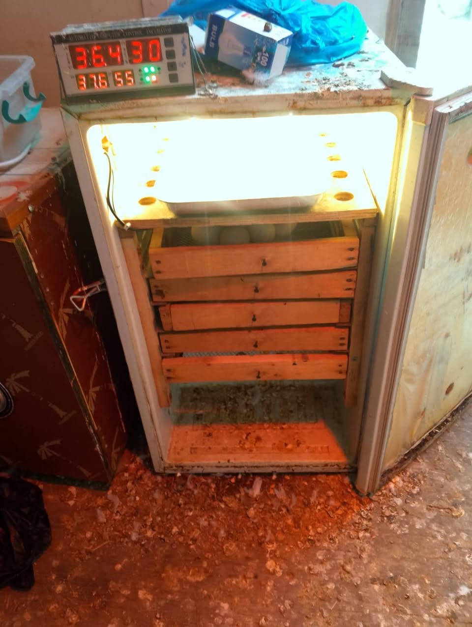 يالله متاح فقاسات للبيع فول شرط الشغل للاستفسار  اتصل ***********
