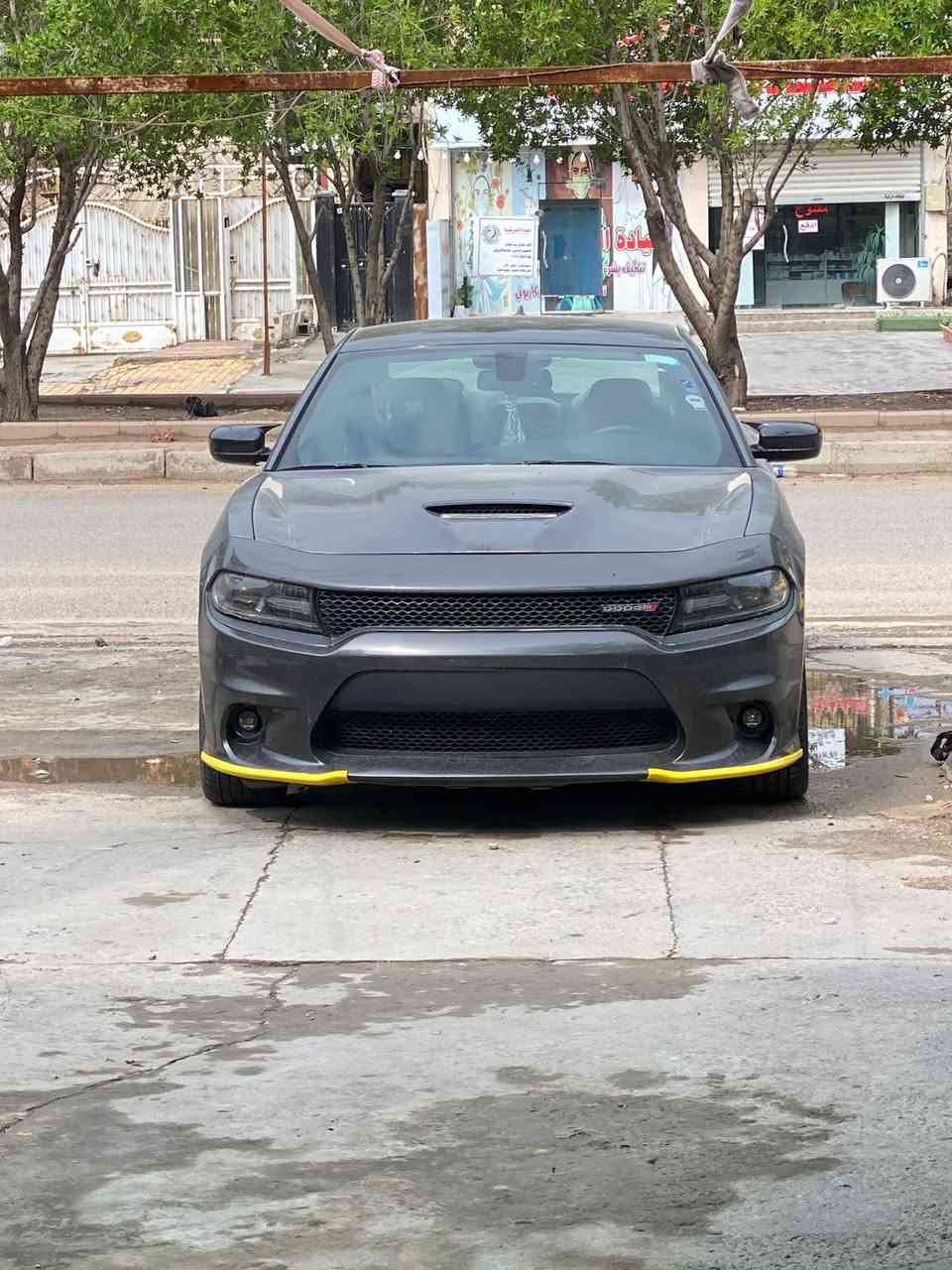 السلام عليكم
دوج جارجر ٢٠١٩ جي تي اصل 

محر ٣٦٠٠ 

لون رصاصي فيلي

الحادث جدأ خفيف بدون صبغ بدون ايرباك

من الخلف دعاميه خلفيه من الاسفل وحتى الدعاميه ما مصبوغه بيه بارد الهلال مال الجاملغ الايمن والايسر فقط ومثل ما موضح ب الصور صبغ جوه المسطره الخلفيه واسفل الدعاميه الاماميه فقط بدون فتح الدعاميه شرط الفحص

السياره جاهزه من كل شي ومواصفات الجي تي معروفه

١-كت كامل srtمن الشركه تجي

٢-شاشه كبيره + نضام سماعات الباين 

٣-كشنات حضن+كرسي السائق كهرباء

٤-ويل كب ٢٠ تو سايز+تخم تاير جديد

٥-لايت زنون عالي ناصي +والبلوجكترات

٦-دكمه سوبر تراك+شفتات ستيرن

والمواصفات الباقيه معروفه من حساس تاير وكامرا والمواصفات الباقيه وابشنات الشاشه.....

السياره جاهزه من كلشي كير ومحرك وكهربائيات 

ادامه كامله للمحرك بلكات ونوزلات وفلاتر قبل شهر سويتله ادامه كامله بانزين كله سوبر ادير السياره ماشيه ٥٤ الف ميل

مغلف القماره والبنيد ونص الجاملغات الاماميه وحتى المازدات الاماميه ppfابو الضمان وعندي سونار قبل وبعد ال ppfوالسونار موجد وين يعجبك افحص 

السياره رقم بغداد الجديد بسمي ثاني يوم التحويل

السعر ٢٣٠٠٠$ يعني ٢٣٠  ورقه بيه مجال قليل 

السياره موجود بغداد شهداء البياع 

***********

ابو حيدر
