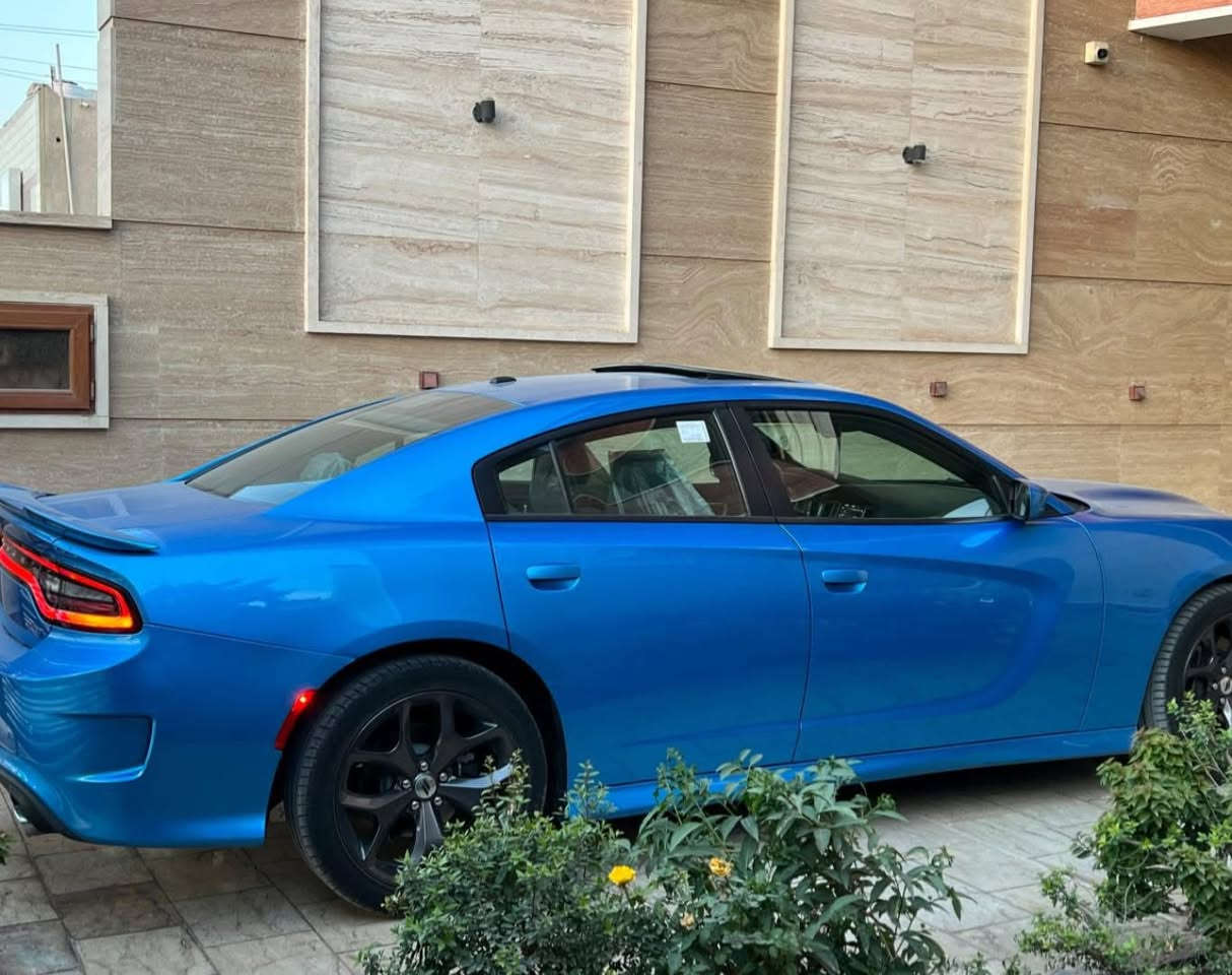 تحيه طيبه ✋

جارجر 2019 جيتي GT فول ١/١  (وكالة هارلم)
خليجي شركة هارلم 
لون بحري داخل احمر 
ماشيه  ٣٩  استعمال نضيف  كلش بعدها بحالة الوكاله    
كفاله عامه حتى الدعاميات مكانين كرت بسيطات بدون
كير محرك مكفول بشرط 
رقم بغداد باسمي هزه جديده سنويه جديد تحويل ثاني يوم 

فول موصفات 1/1   نسخة GT 
(فتحه ،بصمه ،جلد ،كراسي كهرباء ،محرك ٣٦٠٠، مقاعد تدفئه تبريد ،شاشه كبيره ،تحكم كامل ،أوامر صوتيه ،كت بلادي،تبريد خلفي ،سماعات alpine )

‎العده مال شركه والأرضيات والكتلوكات كلها ماستخدمه ابد بحالة الوكاله وتخم تاير جديد 

السعر 287  ورقه 
مكاني بغداد📍

للاتصال 
***********
