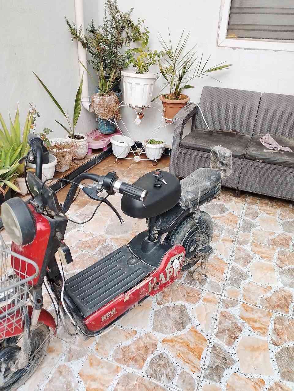 بايسكل شحن للبيع شرط بس بي واير متحرك تعدله ويكوم يمشي شاشه محتركه اشاير لايتات كله شغال بس الفيشه فالته موديل2021شرط سعر 200بي مجال للطيبين وبيكم خير ودللو
عندك شي مراوس نزل ونشاء الله البي خير يصير
رقم***********
