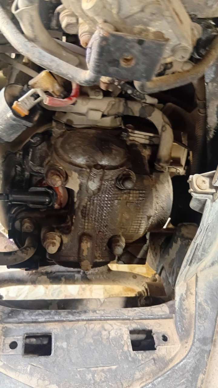 ثعلب تفصيخ شتريد موجود ومناسب


**إذا كنت صاحب هذا الإعلان وتريد حذفه لأي سبب، رجاءا أرسل رسالة إلى الدعم الفني**