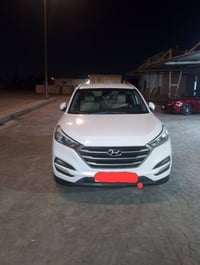 توسان خليجي • ٢٠١٧ • رقم اربيل