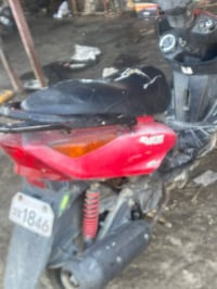 ثعلب • مرخصت • شغالة