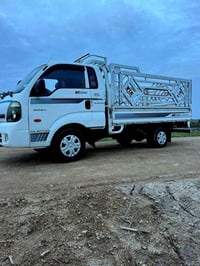 بنكو ٢٠١٩ • تبريد ثلج • شطره