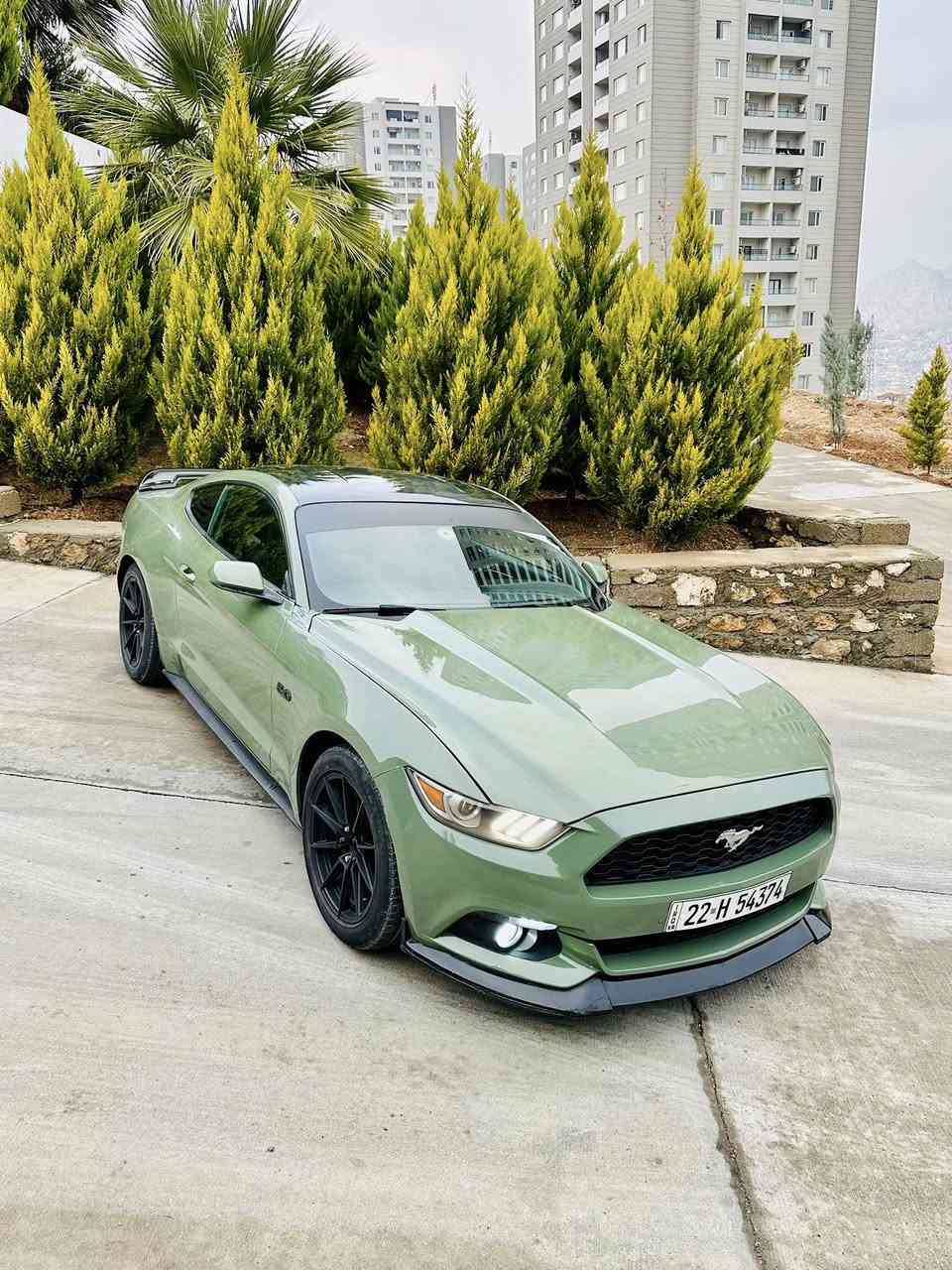 Mustang 2016 v6 
سعر بلاش 128$ مجال بصيط 
گير محرك اكسل مكفولات
ايرباك بس سوكان 

صدر امامي خلفي جديد مبدلات
كهربائيات شرط
الاظافات
لحيه سيرفني 
جنح جيتي 
ادامه كامله دهن محرك جديد
بلاكات جديد 
فيتبمب جديد 
ماكو لا كلوب على دشبول
رقم سنويه جديد 
مكان سياره دهوك
*********** 
سياره بدون اي نقص
