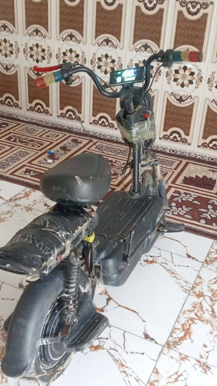 دراجة شحن للبيع🌹
نضيفة كلشي مابيهة شغالة وتمشي 
بس مشكلة بسيطة بيهة من تمشي بل بداية مو سريعة 
تكطع 17 متر اقل وتبدي تسرع سرعتها لقصوة 20 او 25 وشحنها يبقة ساعة ونص تمشي بيك وتبقة عل شحن 4 ساعات او 3 
وسعرها 60 قفل لما يشتري لا يتخلي عل خاص ويتعبني
وبكاني نهروان يم محلات داود ساكنيا او صناعت عبد لعضيم صير قرب معمل ثلج لشراي يجي خاص ونطي رقمي ويجني يم صناعة واني انطيهة الة وبل خير عليه لياخذهة وشايف بهة كل لخير نشأ الله 🌹🧡


**إذا كنت صاحب هذا الإعلان وتريد حذفه لأي سبب، رجاءا أرسل رسالة إلى الدعم الفني**