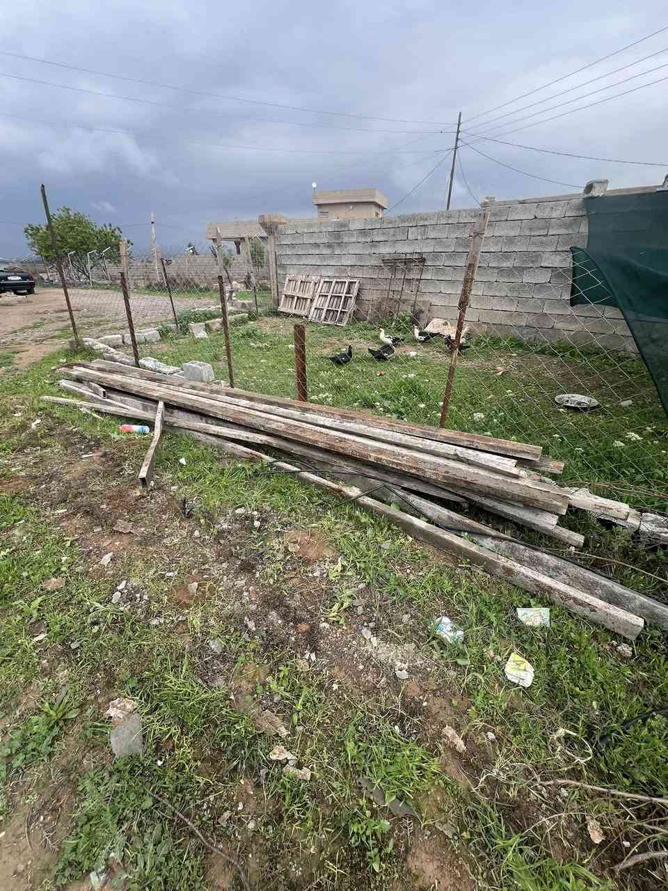 شيلامانات عدد تقريبن 20 نضافتهن كدام العين تفحص وتاخذ سعر اتصل ماجاوب خاص 

***********
