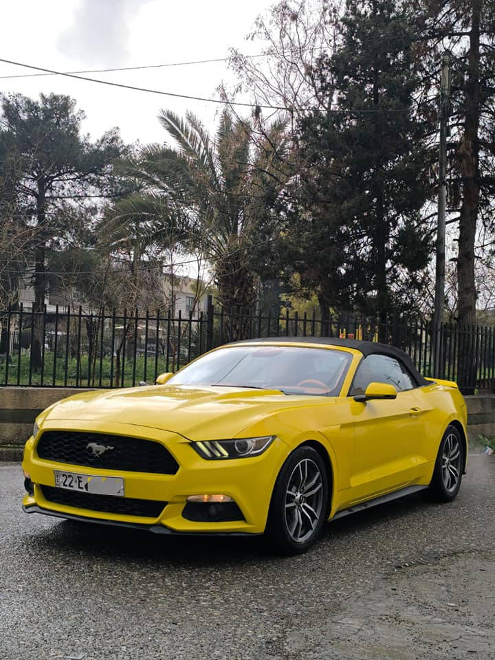 کــــــوردی 
تەنها فرۆشتن بە نقد 
Mustang amreki 
مۆستانگ 
مـــۆدێل / 2016
مواسفات /  شاشە ، کامیرە 
مەکینە / v.4 چوار پستۆن  
مەکینەی کرایتەوە 
 بێ ئێڕباگ ، بێ ناوگرتن 
بێ سبوغ  ٣ جێ تەعدیل 
( ٢٨٣) هەزار  کم چووە
سەنەوی نوێیە 

نـــــــرخ  (( ١٣٧٠٠$  )) 

ناونیشان هەولێر
 

عربي 
فقط بیع نقد 

Mustang amreki 
 موستانک امریکی
مــــــــودیل/2016
مواصفات/ كاميرة ، حساس ، 
محرك /  v.4 اربع سلندر
محرك مفتوح 
بدون ایرباك ، بدون دواخل
بدون صبغ  ٣ مكان تعديل 
 
سنوية جديدة  

سعر   (( 13700 $  )) 
عنوان اربیل ، للاستفسار أربيل, العراق


**إذا كنت صاحب هذا الإعلان وتريد حذفه لأي سبب، رجاءا أرسل رسالة إلى الدعم الفني**