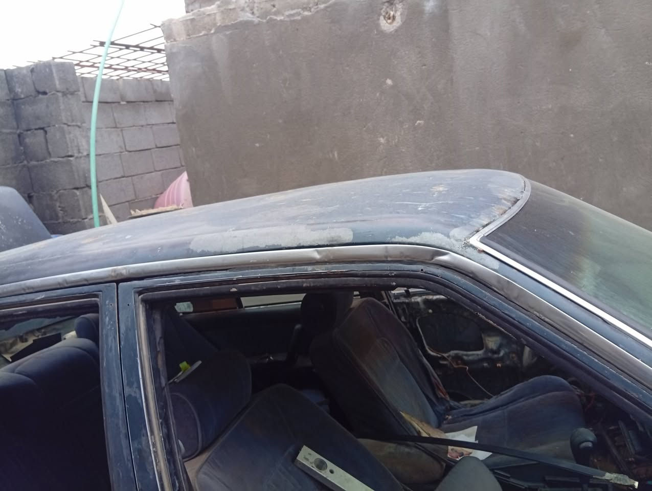 قراض ارنب للبيع بدي مال ارنب ما مكصوص حداديه واكسن وكشنات
***********
