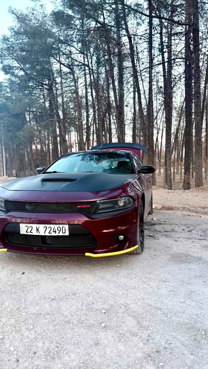 جارجر Gt فول 1/1  موديل2021  رقم اربيل
هزه جديدة بأسمي  ماشيه 45الف ميل استخدام شخصي
1كشنات كنتارا حضن 
2كشنات امامي كهرباء 
3شاشة كبيره كار بلاي
4كأمره خلفية 
5حساسات
6نظام سبورت تراك
7سبورت 
8رادارت 360
9 كشنات امامي خلفي تدفئة تبريد
10 ستيرن هيتر 
مري هيتر
مري قلاب 
11 نظام تحديد مسار 
نقطة عمياء ع جميع السيارات 
تحديد مسار
حساسات 360
توقف ذاتي 
وبعد هواي مواصفات السيارة فول واحد ع واحد استخدام شخصي
حادث السيارة كلش خفيف 
فقط بنيد امبدل بيها

 السيارة نظيفة وجديدة وكلشي جاهز بيه بدون اي نقص

سعر السيارة٢٣٥


**إذا كنت صاحب هذا الإعلان وتريد حذفه لأي سبب، رجاءا أرسل رسالة إلى الدعم الفني**