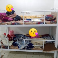 سرير طابقين • جديد • أبو الخصيب