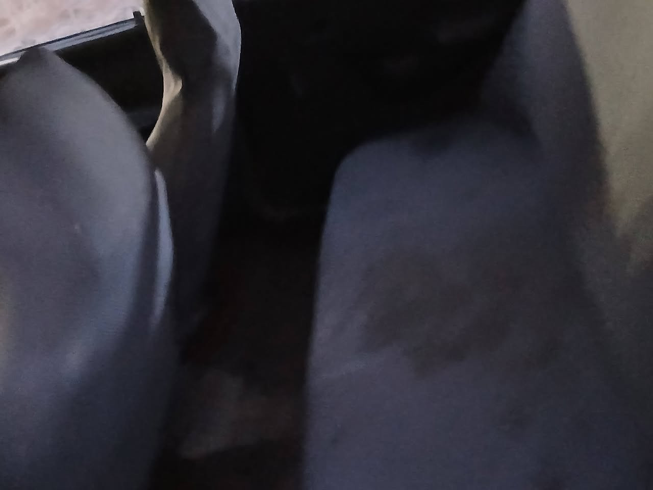 سلام عليكم اخواني سايبا للبيع شراي يتصل خطي *********** سعره 25 وبيه مجال بسيط موديل 2012 شراي يجي  الاتصال فقط اجاوب على رصيد وخطي ثاني ***********
